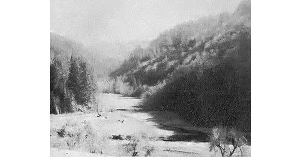 
The logging road would have passed over this creek, the farm's water supply.
